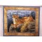 Mountain Lion